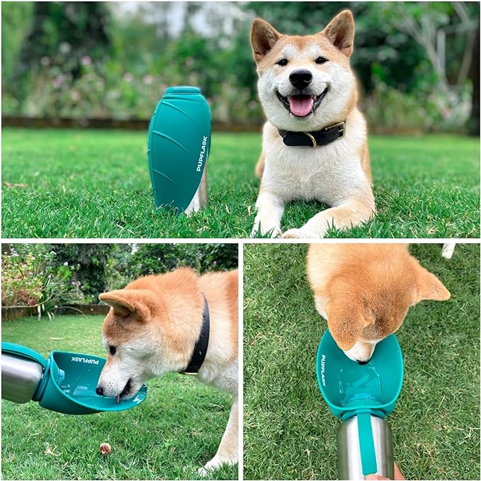 PupFlask Large Dog Water Bottle | 27 or 40 OZ Stainless Steel | Convenient Dog - Image 6