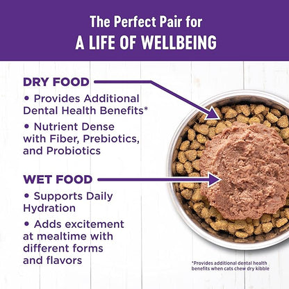 Wellness Complete Health Kitten Dry Cat Food, Grain Free Kibble, Chicken Recipe - Image 5