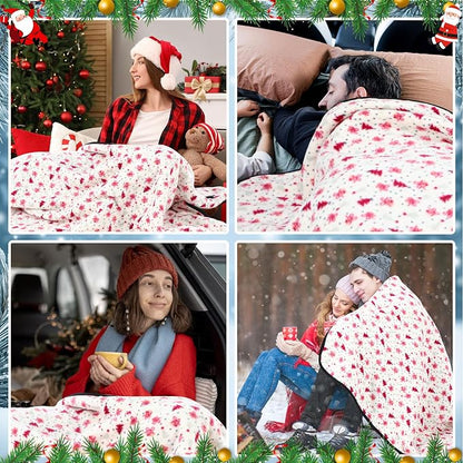 Riakrum 12V Car Heated Blanket for Cold - Image 6