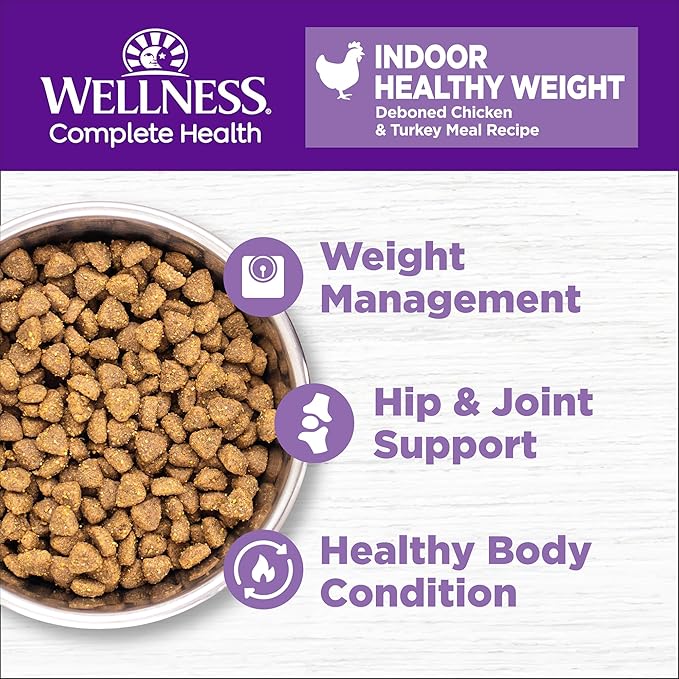 Wellness Complete Health Adult Dry Cat Food - Image 2