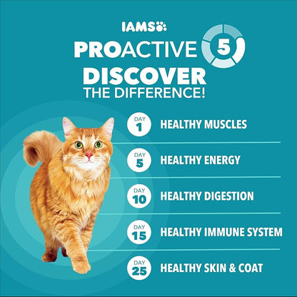 IAMS Proactive Health Dry Cat Food, Indoor Weight and Hairball Care Cat Food - Image 4