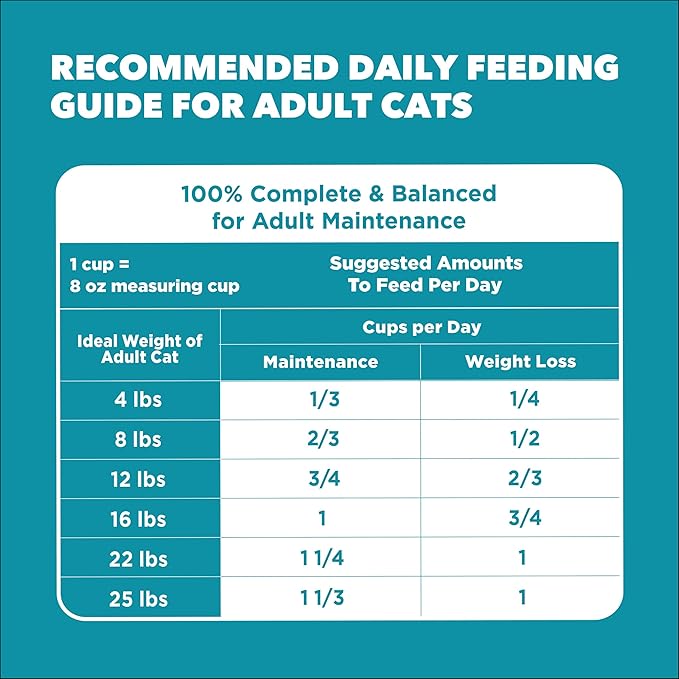 IAMS Proactive Health Dry Cat Food, Indoor Weight and Hairball Care Cat Food - Image 9