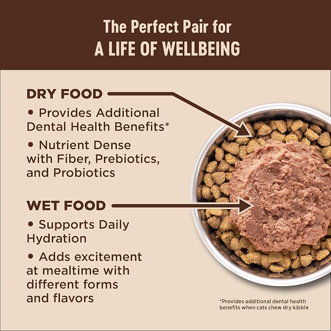 Wellness CORE Adult Dry Cat Food, Grain Free Kibble, Turkey and Chicken Recipe - Image 6
