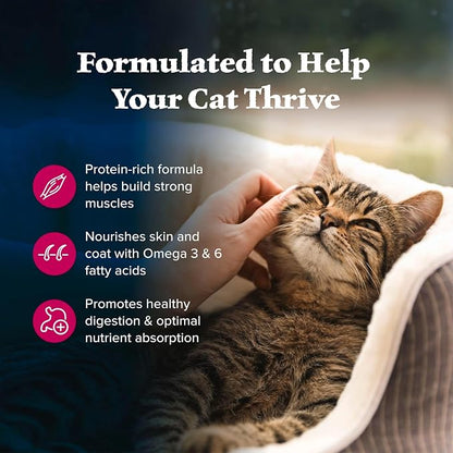 Blue Buffalo Wilderness Natural Adult Dry Cat Food, High-Protein and Grain-Free - Image 4