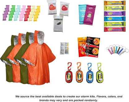Emergency Kit - Winter Storm & Ice Storm Survival Kit, Power Outage Preparedness - Image 5