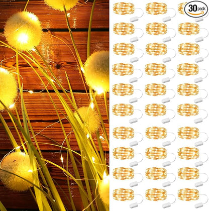 ZSJWL 30 Pack Fairy Lights Battery Operated Warm White, 7Ft 20LED Mini String by ZSJWL