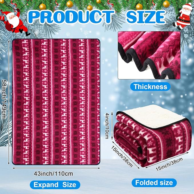 Riakrum 12V Car Heated Blanket for Cold - Image 2