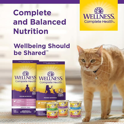 Wellness Complete Health Senior Dry Cat Food, Grain Free Kibble, Chicken Recipe - Image 7