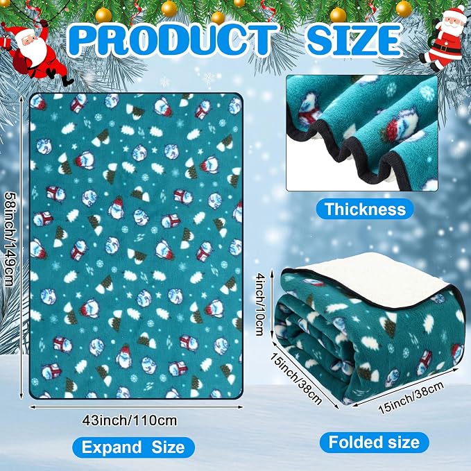 Riakrum 12V Car Heated Blanket for Cold - Image 2
