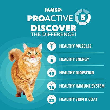 IAMS Proactive Health Dry Cat Food, Indoor Weight and Hairball Care Cat Food - Image 4