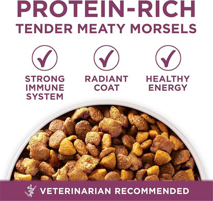 Purina ONE Plus Healthy Puppy Formula High Protein Natural Dry Puppy Food - Image 7