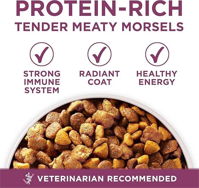Purina ONE Plus Healthy Puppy Formula High Protein Natural Dry Puppy Food - Image 6
