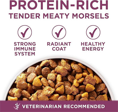 Purina ONE Plus Healthy Puppy Formula High Protein Natural Dry Puppy Food - Image 6