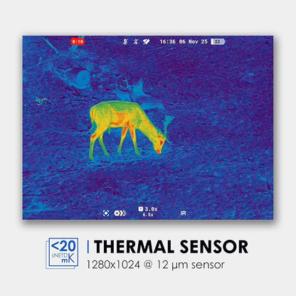 Pulsar Symbion DXT50 LRF Thermal and Digital Night Vision Binoculars - Image 3