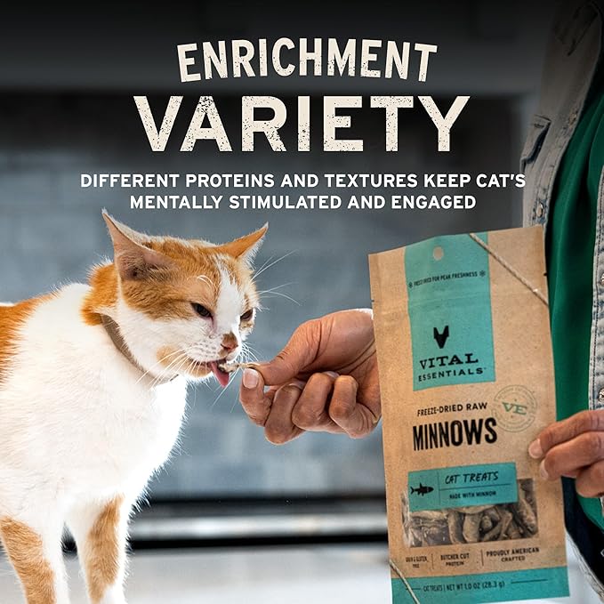 Vital Essentials Freeze Dried Cat Treats | Salmon Bites, Single Protein | - Image 6