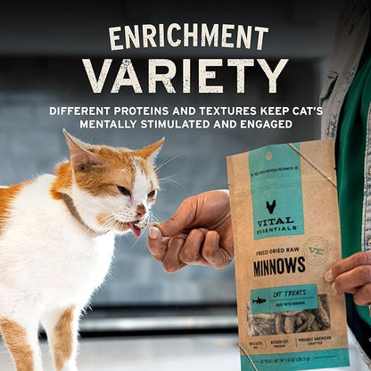 Vital Essentials Freeze Dried Cat Treats | Rabbit Bites, Single Protein | - Image 6