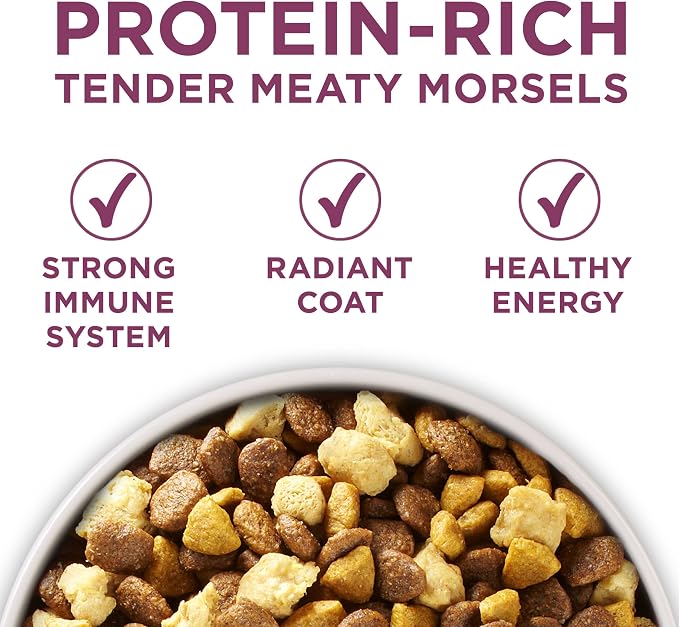 Purina ONE Puppy Food, High Protein Formula | Natural Ingredients | Added - Image 4