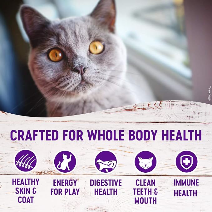 Wellness Natural Pet Food Complete Health Natural Grain Free Deboned Chicken & - Image 3