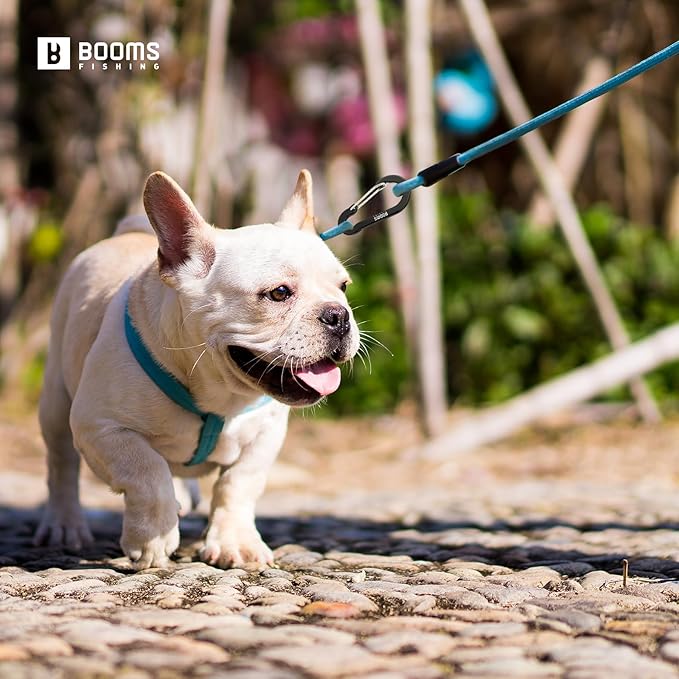 Booms Fishing CC5 Multi-Use Carabiner Clips, 10 Pack 2.3"/ 3.1" Caribeener Clips - Image 3