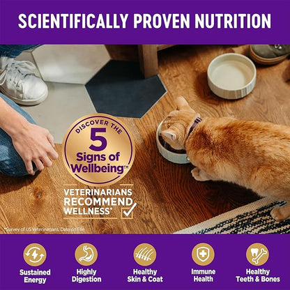 Wellness Complete Health Adult Dry Cat Food, Grain Free Kibble, Chicken Recipe - Image 4