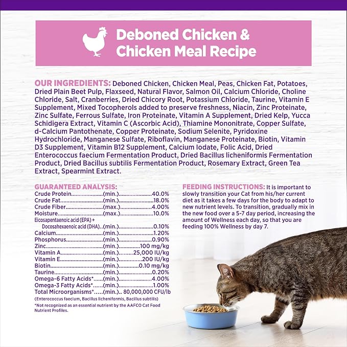 Wellness Complete Health Kitten Dry Cat Food, Grain Free Kibble, Chicken Recipe - Image 6