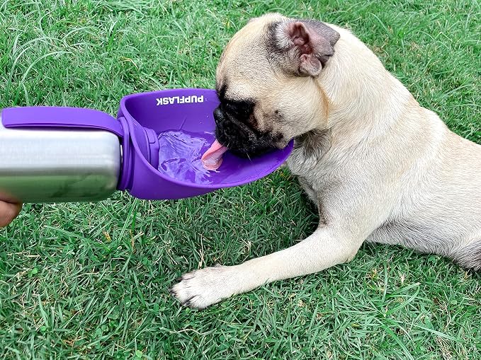 PupFlask Large Dog Water Bottle | 27 or 40 OZ Stainless Steel | Convenient Dog - Image 9